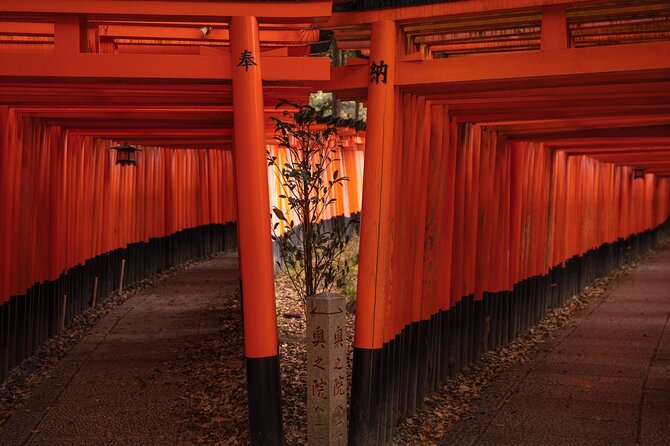 10 Must-see Spots in Kyoto One Day Private Tour (up to 7 people) - The Arashiyama Kimono Forest and the value of quick, fun detours