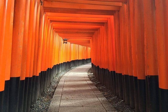 5 Top Highlights of Kyoto Full Day Bike Tour (E-bike option) - E-bike vs traditional bike: your decision comes down to hills and stamina