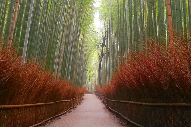 5 Top Highlights of Kyoto Full Day Bike Tour (E-bike option) - Kiyomizu-dera’s iconic city view: the longest stop is the payoff