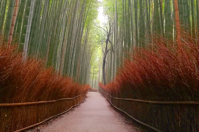Afternoon Kyoto Bike Tour: Bamboo Forest, Monkeys & Hidden Spots - Price and Value: What $106.12 Buys You Here