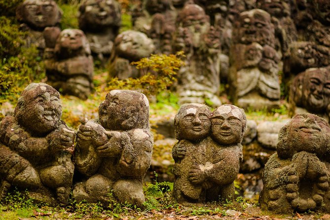 Arashiyama Bamboo Forest E-Biking Tour - Key things to know before you go