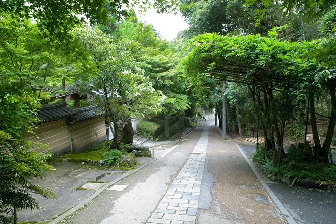 Arashiyama Bamboo Forest E-Biking Tour - Why this e-bike format beats a full day of walking