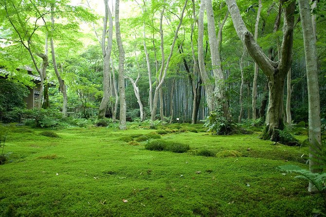 Arashiyama Bamboo Forest E-Biking Tour - Tōji-in Temple: moss, calm pacing, and contemplative time