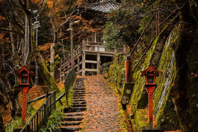 Arashiyama Bamboo Forest E-Biking Tour - Arashiyama Bamboo Forest: what to expect when bikes are parked
