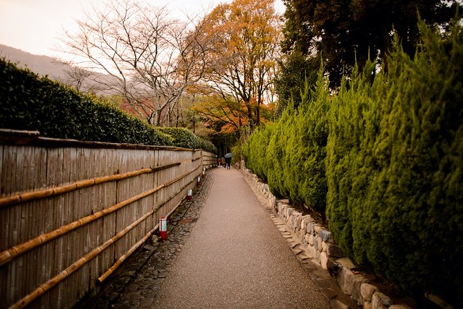 Arashiyama Bamboo Forest E-Biking Tour - Riding 25 km with less strain: the real meaning of pedal assist