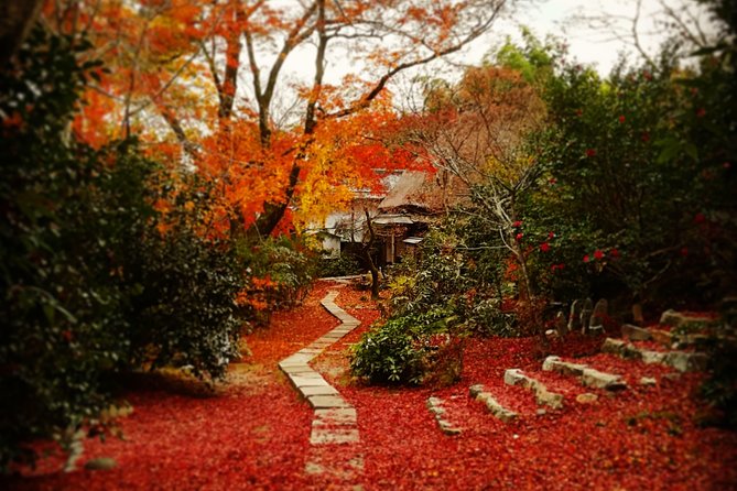 Arashiyama Bamboo Forest & Hidden Gems Bike Tour (Early Bird) - Stop 2: Tenryu-ji Temple and the Sogenchi Teien Garden