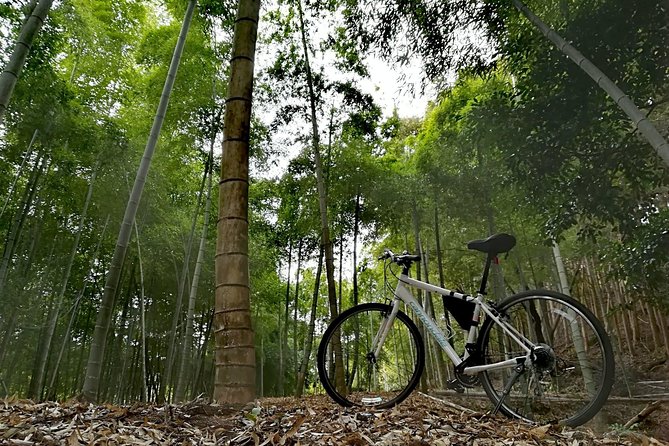 Arashiyama Bamboo Forest & Hidden Gems Bike Tour (Early Bird) - Who This Tour Fits Best (and When to Rethink It)