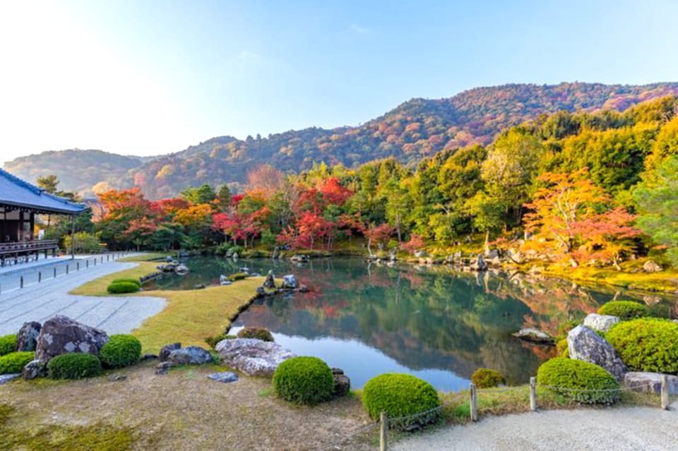 Arashiyama Bamboo, Temple, Monkeys, or Secret Sake Brewery - Tenryuji Temple grounds: koi pond time and Zen atmosphere