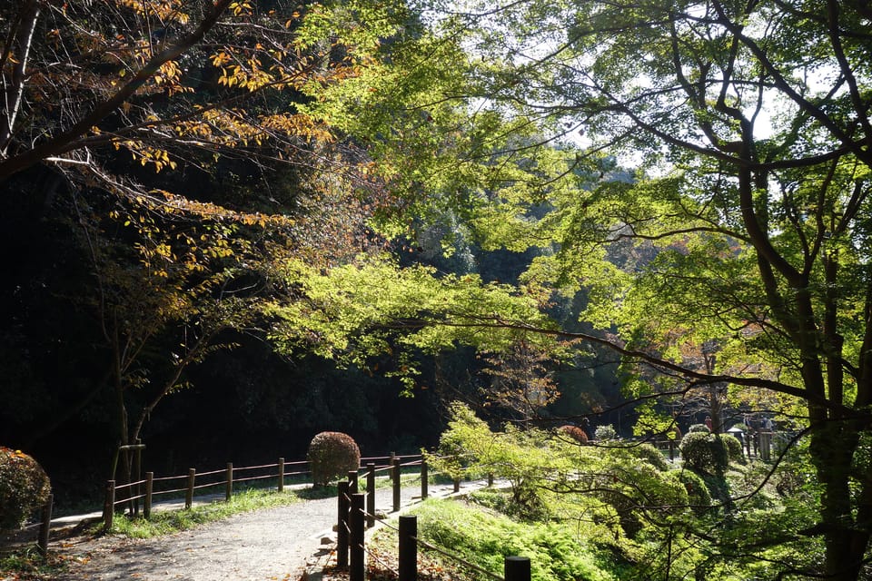 Best of Kyoto: Ginkakuji & Path of Philosophy E-Bike Tour - Why an E-bike Kyoto tour beats the usual temple shuffle