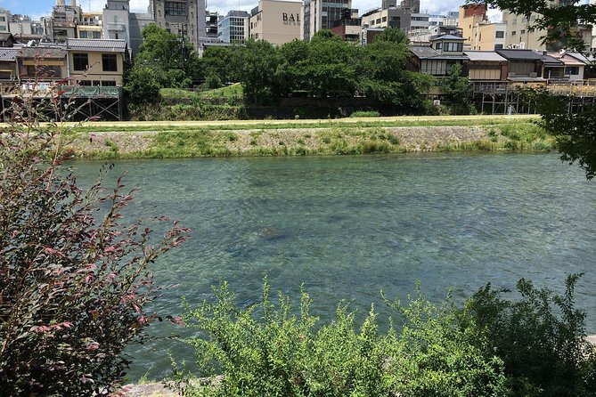 Bike Tour Exploring North Kyoto plus Lunch - Bikes, pace, and the real “fitness level” question