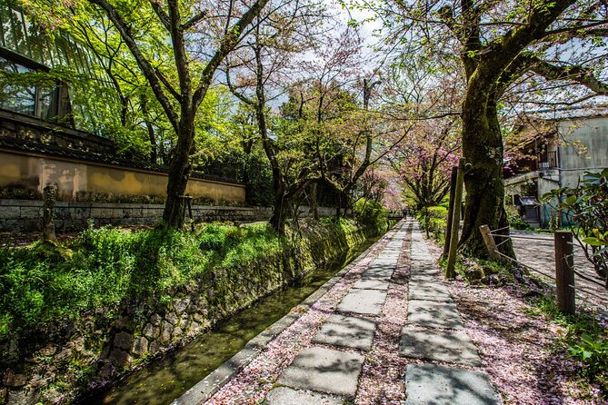 Early Bird E-biking through East Kyoto - Stop 3: Kamogawa River—ride time that actually breaks up the temples