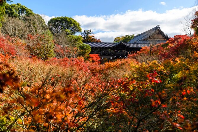Early Bird E-biking through East Kyoto - Stop 4: Ginkakuji—grounds first, then lunch built into the flow
