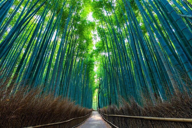 Explore Kyoto | Private Tour - Local English Driver(guide option) - Crowd avoidance and smooth timing: where a private driver earns their keep