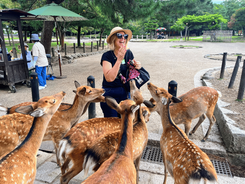 From Kyoto: Nara Guided Morning Tour - Morning Departure From Kyoto: Tully’s Coffee to Nara by Coach