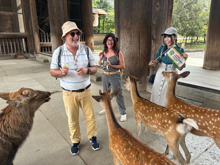 From Kyoto: Nara Guided Morning Tour - Nara Park Deer Encounters: How to Have Fun and Avoid Getting Nipped