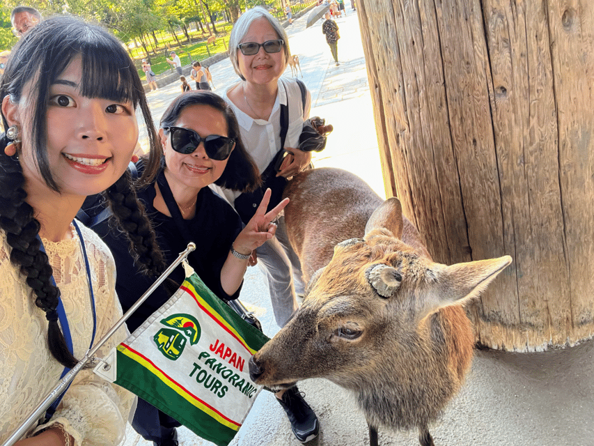 From Kyoto: Nara Guided Morning Tour - How the Timing Works in a 4-Hour Half-Day