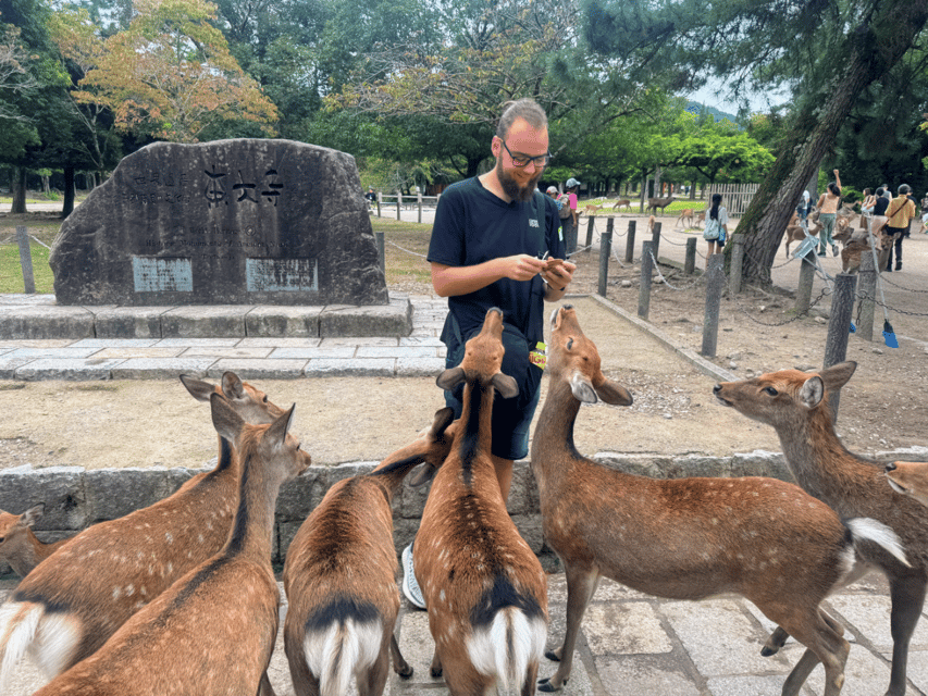 From Kyoto: Nara Guided Morning Tour - Comfort, Guides, and Audio Headsets in 7 Languages