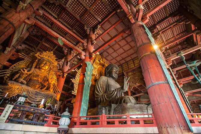 From Kyoto: Nara History Guided Half Day Bus Tour with Lunch - Kyoto to Nara without the route-planning headache