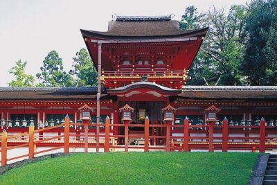 From Kyoto: Nara History Guided Half Day Bus Tour with Lunch - Kasuga Taisha: lantern energy plus guided context
