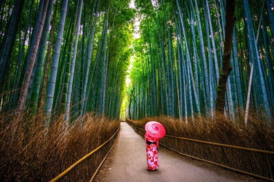 From Kyoto / Osaka: Kyoto Must-see Spots & Nara Park One Day Tour - Fushimi Inari Taisha and the Senbon Torii Walk: Short Time, Big Reward
