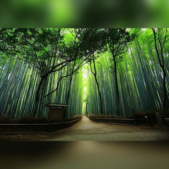 From Osaka/Kyoto: Private Kyoto & Nara Day Trip with Pickup - Key highlights to know before you go