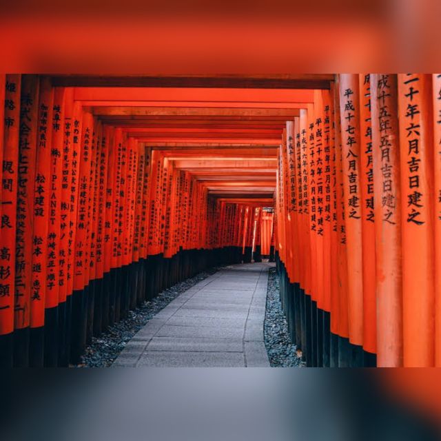 From Osaka/Kyoto: Private Kyoto & Nara Day Trip with Pickup - Why this Kyoto and Nara private day works (and feels “worth it”)