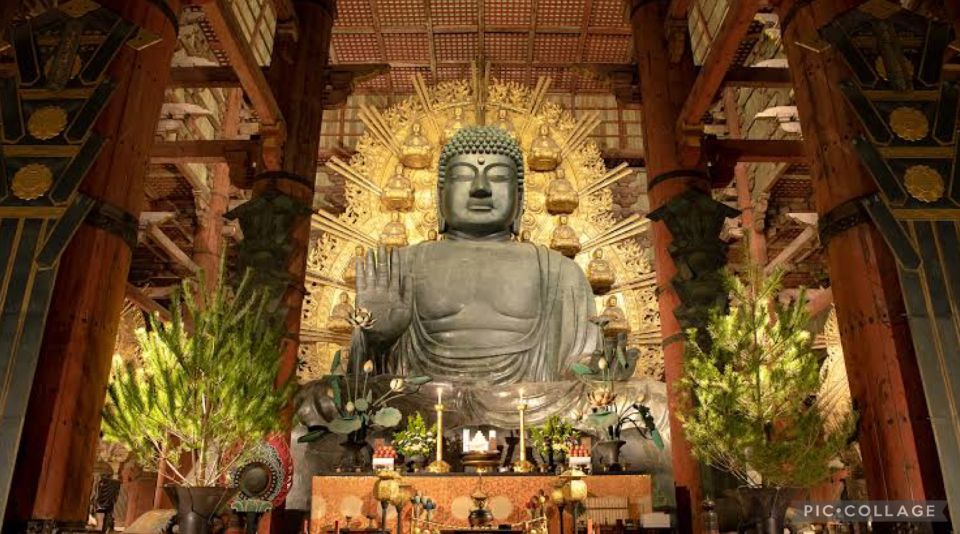 From Osaka/Kyoto: Private Kyoto & Nara Day Trip with Pickup - Arashiyama Bamboo Forest: the stop everyone wants, with a real schedule