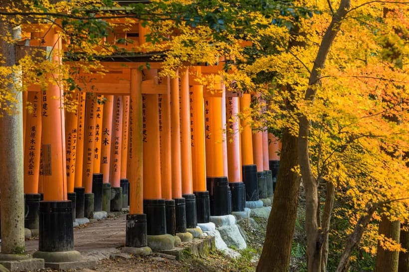 From Osaka: Sagano Train Ride and Kyoto Guided Day Tour - From Osaka to Kyoto in One Day: how the routing feels