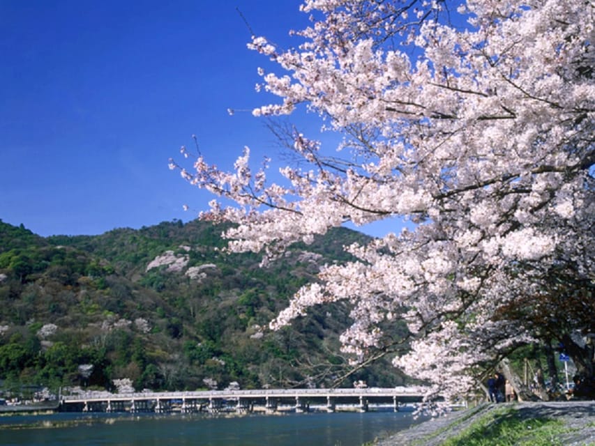 From Osaka: Sagano Train Ride and Kyoto Guided Day Tour - Arashiyama: Bamboo Forest, Togetsukyo, and the Katsura River moment