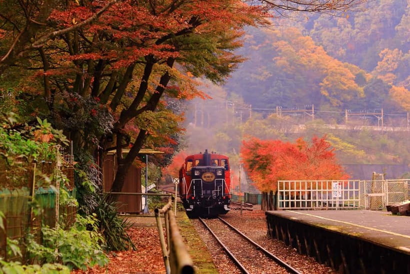 From Osaka: Sagano Train Ride and Kyoto Guided Day Tour - The Sagano Romantic Train: views from Kameoka worth timing your day