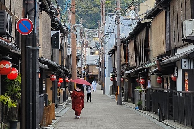 Full Day Guided Tour to Kyoto and Nara from Osaka by Van - Comfort and small-group energy in a long day