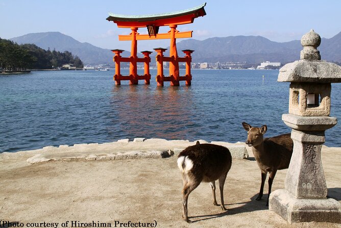 Full Day Hiroshima and Miyajima Tour by Bullet Train from Kyoto - Miyajima Arrival: Ferry Transfer and the Sacred Island Feel