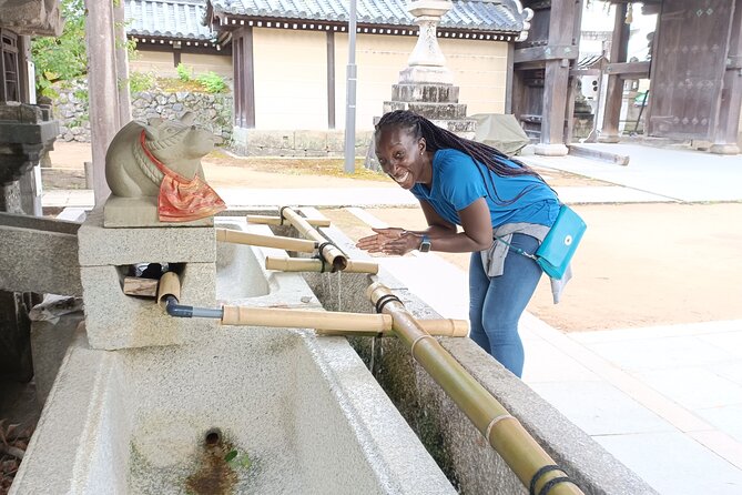 Full-Day Sightseeing to Kyoto Highlights - Why a one-day Kyoto route beats random wandering