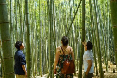 Fushimi Inari Hidden Hiking Tour (Private Option Available) - Starting Near Tofukuji: The FamilyMart Meet-Up and Fast Momentum
