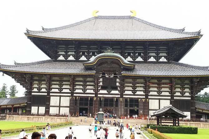 Fushimi Inari & Nara Highlights Walking Tour - Why This Fushimi Inari to Nara Tour Works for Limited Time