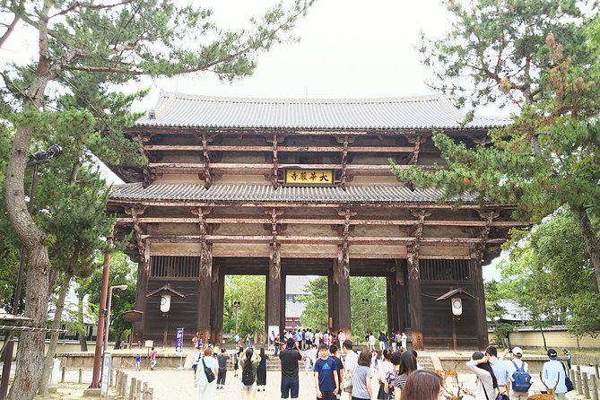 Fushimi Inari & Nara Highlights Walking Tour - Stop 3: Kasuga Grand Shrine Lanterns, Branch Shrines, and Deer Energy