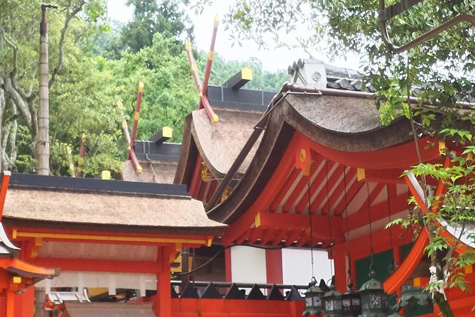 Fushimi Inari & Nara Highlights Walking Tour - Timing and Weather: The 6-Hour Reality Check