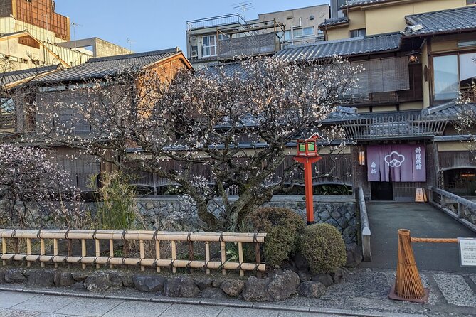 Gion Nocturno: Secretos y Leyendas de las Geishas - Precio y valor: 21,80 USD por 2 a 3 horas con contexto