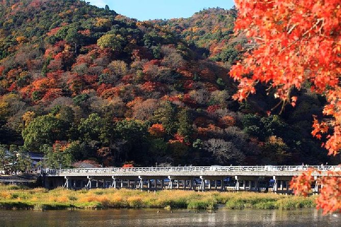 Half Day Kyoto Sagano Bamboo Grove & Arashiyama Walking Tour - Sagano and Arashiyama in Four Hours: How the Route Feels
