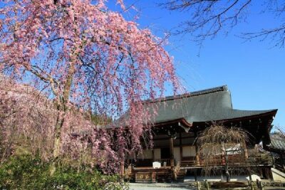 Half Day Kyoto Sagano Bamboo Grove & Arashiyama Walking Tour - Getting There From Kyoto Station (and Why It’s Part of the Day)
