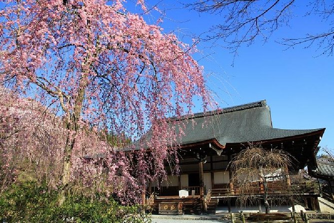 Half Day Kyoto Sagano Bamboo Grove & Arashiyama Walking Tour - Getting There From Kyoto Station (and Why It’s Part of the Day)