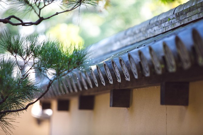 Hidden Kyoto E-Biking tour - Meet at NORU: bike fitting, briefing, and timing that matters