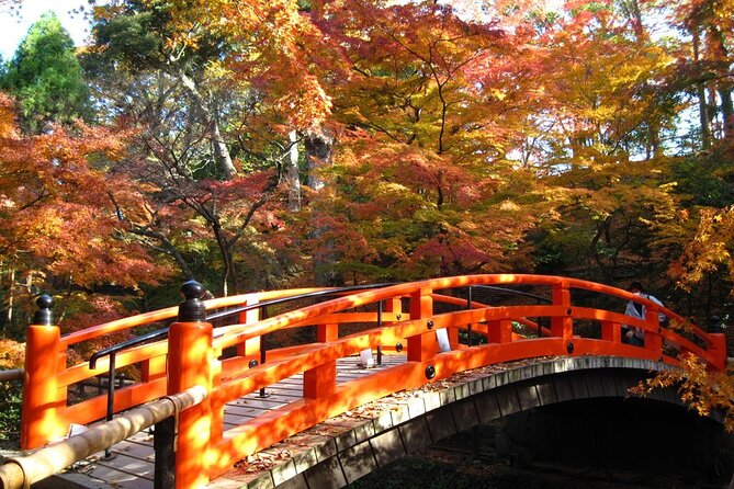 Historical Kyoto E-Bike Tour - Lunch time: how the meal fits the route (and why cash matters)