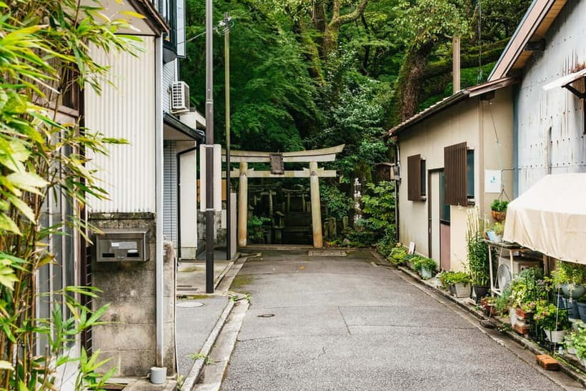 Kyoto: 3-Hour Fushimi Inari Shrine Hidden Hiking Tour - Price and value for $72 in a small group up to 9