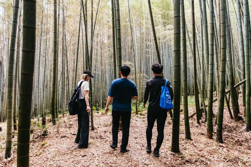 Kyoto: 3-Hour Fushimi Inari Shrine Hidden Hiking Tour - Coming down via forest trail to the main shrine base