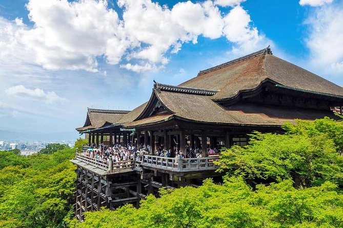 Kyoto 4hr Private Tour with Government-Licensed Guide - The walking-and-transit reality: what to expect and how to plan