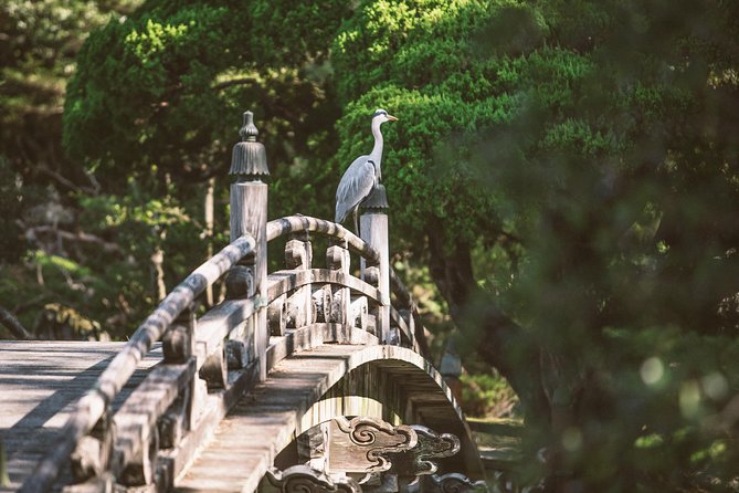 Kyoto and Nara Day Trip from Kyoto - Driving to Nara: when the morning history turns into full-scale spirituality