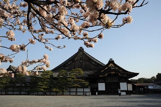 Kyoto and Nara Day Trip from Kyoto - Kasuga Taisha lanterns: shrine atmosphere you walk through