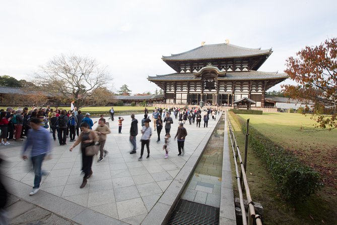Kyoto and Nara Day Trip from Kyoto - Shoe rules, walking loops, and timing: how to make the day feel easier