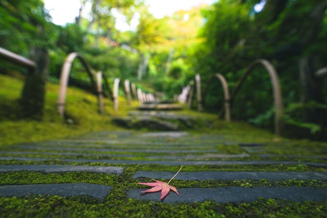 Kyoto Arashiyama Bamboo forest & Garden Half-Day Walking Tour - Togetsukyo Bridge lunch: where your day slows down
